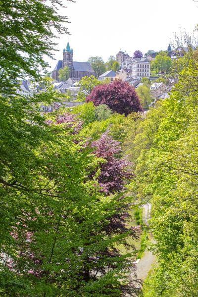 Parkhotel Waldschlösschen