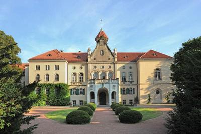 Schwanefeld