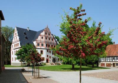 Schwanefeld
