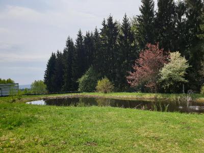 Berghotel Drei Brüder Höhe