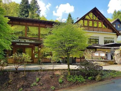 Siegerland-Hotel Köhler's Haus im Walde