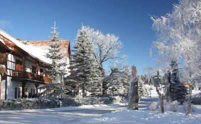 Kreuztanne