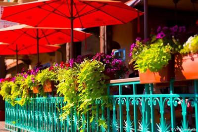 Table Mountain Inn