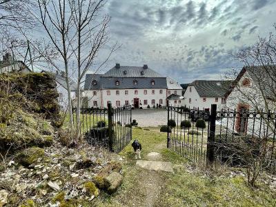 Burghaus & Villa Kronenburg