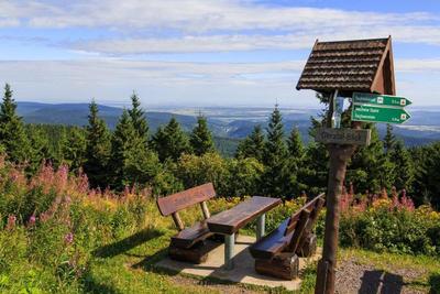 Waldhotel Berghof