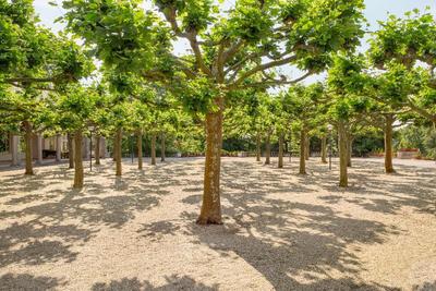Dolce by Wyndham Bad Nauheim