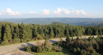 Wellness- & Nationalpark Hotel Schliffkopf BWSC