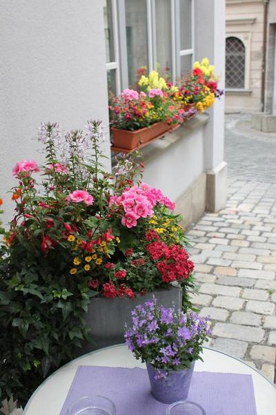 Am Rathaus