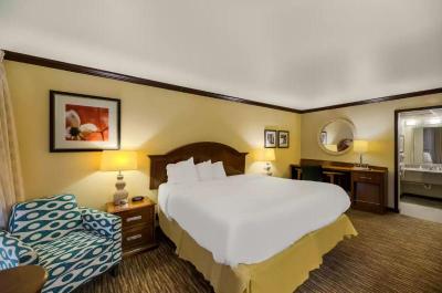 Rodeway Inn