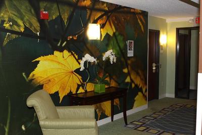 Hotel Trilogy Albany Airport Tapestry Collection