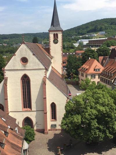 Schwanen