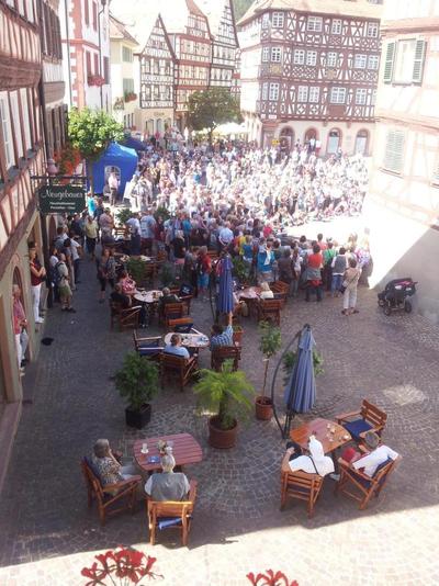 Schwanen