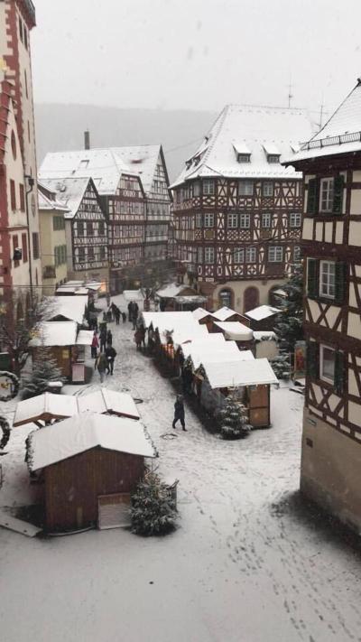 Schwanen