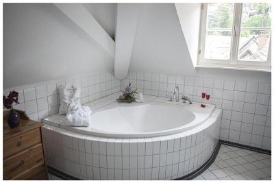 Hotel Goldener Falke