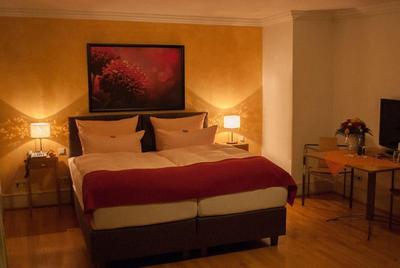 Hotel Goldener Falke