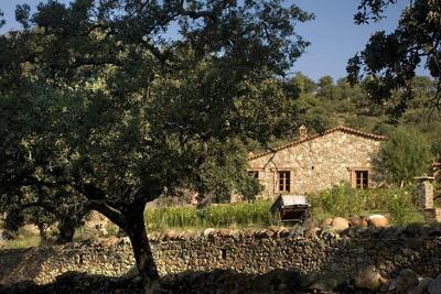 Molino Rio Alajar