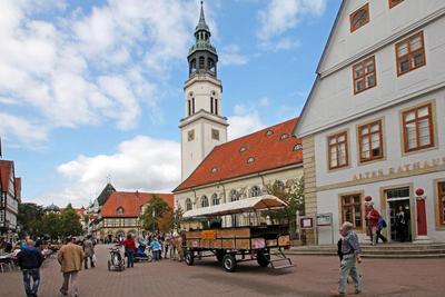 Heidekönig