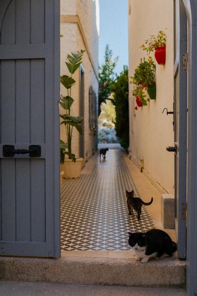 Vintage Hotel Alaçatı