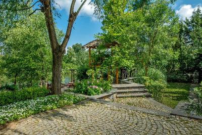 Wineport Lodge Ağva