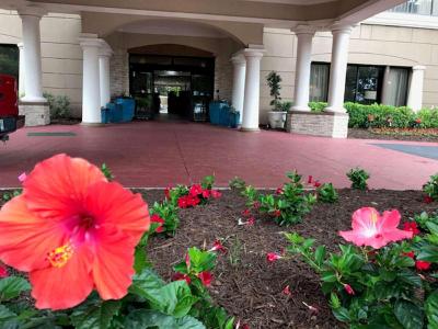 Jacksonville Hotel