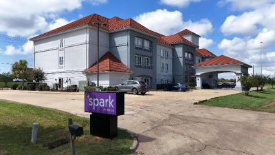 Spark by Hilton Brandon