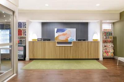 Spark by Hilton Brandon