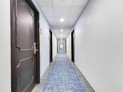 La Quinta Inn & Suites Jacksonville Mandarin