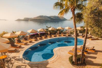Tamara Prive Adult Only+12
