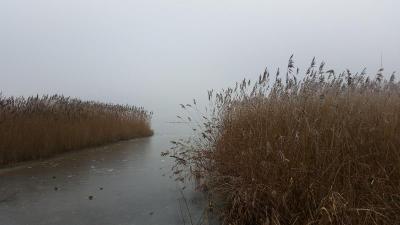 Fischerwiege am Passader See