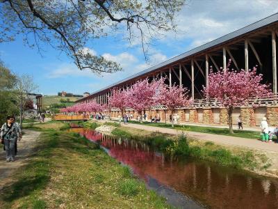 Gartenhotel Heusser & Doggy Wellness