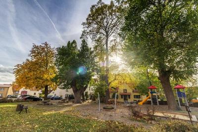 A. L. Fünf Linden