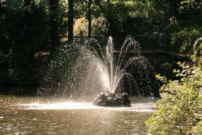 Am Schwanenweiher