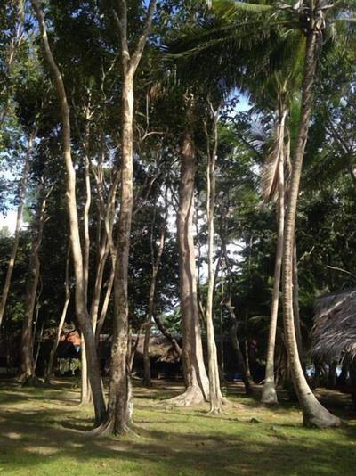 Joy Bungalow