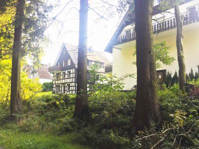 Asten Village