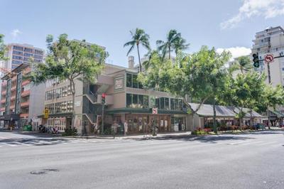 Kuhio Banyan