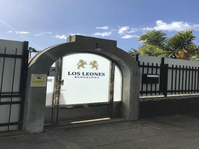 Los Leones