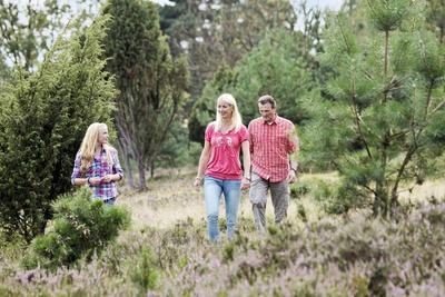 Center Parcs Bispinger Heide