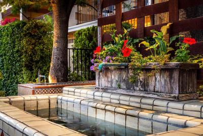 Hotel Pepper Tree Boutique Kitchen Studios