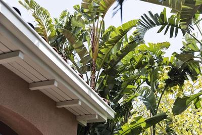 The Beverly Hills Hotel & Bungalows
