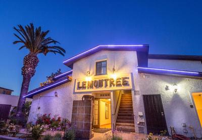 Lemon Tree