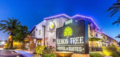 Lemon Tree