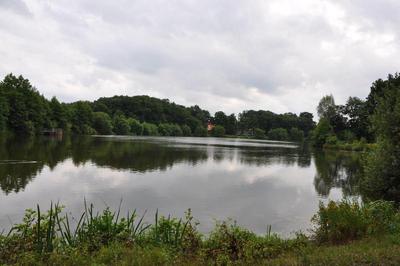 Akzent Am Saller See
