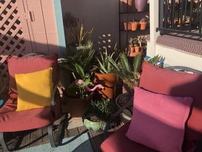 Bayfront Inn