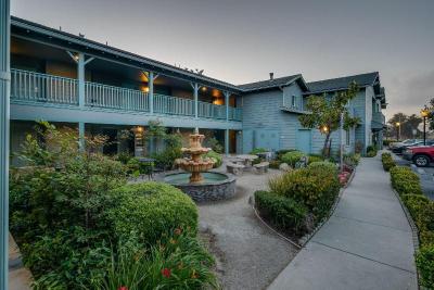 Morro Shores Inn and Suites