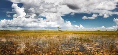 Miccosukee Casino Resort