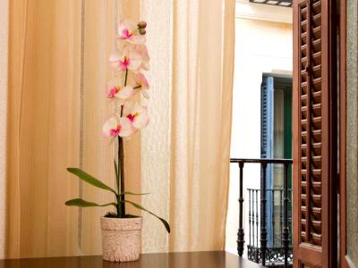 Hostal Condestable