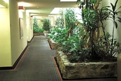 Monarch Resort