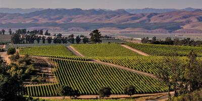 Candlewood Suites Santa Maria