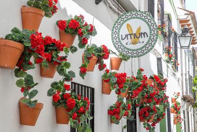 Vitium Cordoba