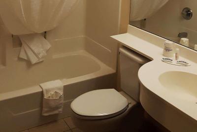 Microtel Inn & Suites By Wyndham Bellevue